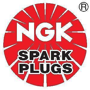 Ngk 6215 iridium and platinum spark plug