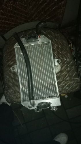 Radiator for 125cc shifter kart