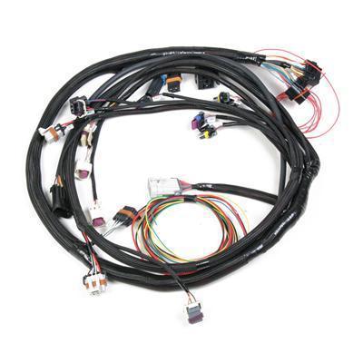 Holley wiring harness efi main harness chevy pontiac kit 558-102