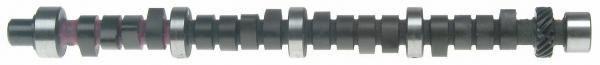 Sealed power performance camshaft cs1006r