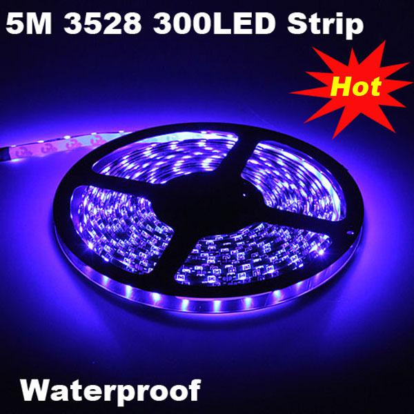 5m 300 led 3528 smd  60led/m waterproof flexible strip light blue 12v