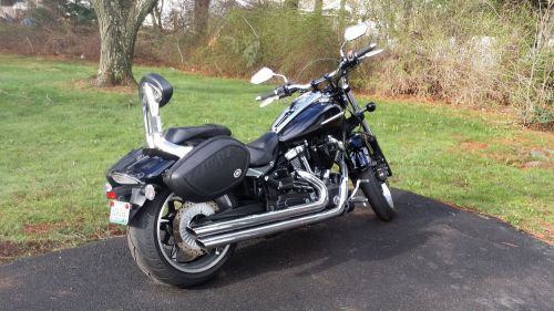 Yamaha raider cruiselite soft saddlebags with support bars included