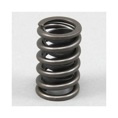 Sealed power valve spring vs-1461