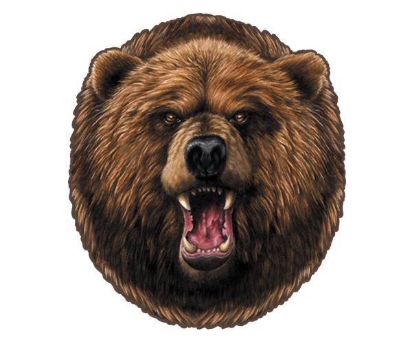 Grizzly bear decal 5"x4.4" hunter alaska kodiak hunting vinyl sticker zu1