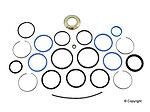 Wd express 450 26003 613 steering gear seal kit