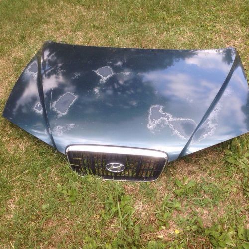 00-05 hyndai elantra green hood