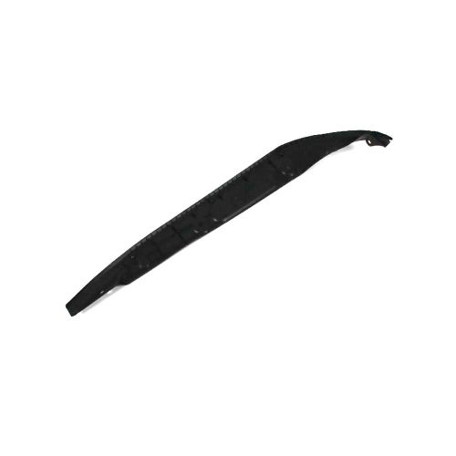 Door seal-r/t, vin: t, 2 door, coupe mopar 55399152ab