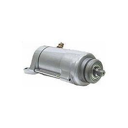 Arctic cat starter motor 250/300