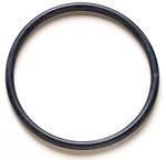 Denso 954-2009 fuel pump tank seal