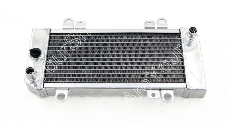 Radiator grille guard cooler for kawasaki zx250 2009-2012 chrome