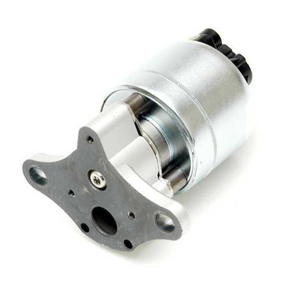 Delphi engine management dem eg10031 - egr valve