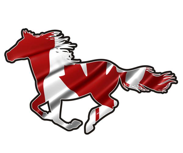 Canada horse decal 5"x3" canadian flag pony mustang car vinyl sticker (lh) zu1