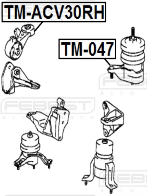 Right engine mount - febest # tm-acv30rh