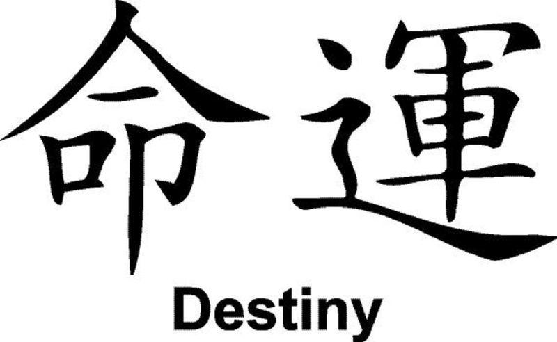 Destiny 10" car truck window vinyl sticker decal choose color 0116