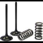 Prox 28.ses3408-1 steel exhaust valve/spring kit rmz450 '08-09