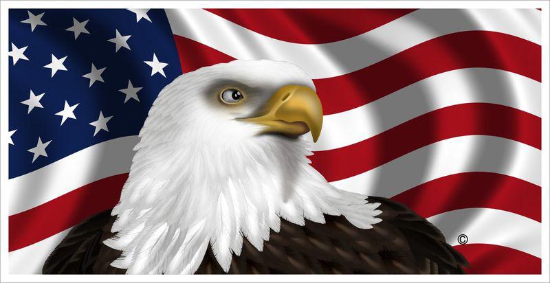  usa american flag eagle magnet vehicle graphics car truck tool box refrigerator