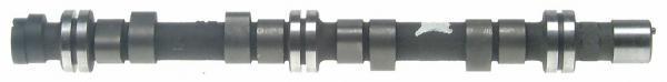 Sealed power camshaft cs841