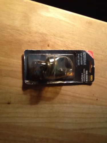 Eiko halogen auto light 6255 bah. 061316