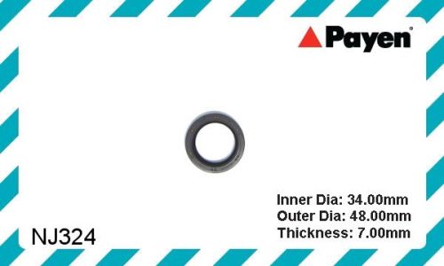 Payen camshaft seal, nj324