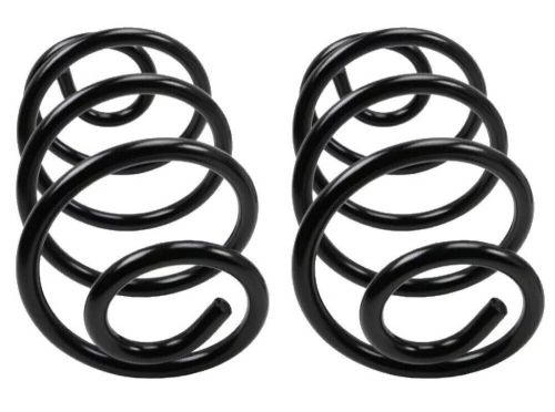 2 coil springs rear left &amp; right for buick chevy oldsmobile pontiac moog