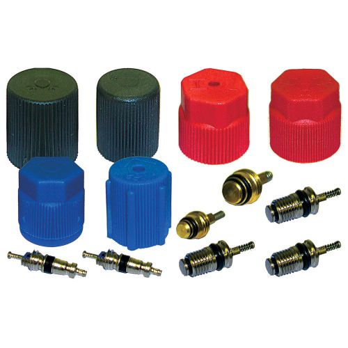 A/c system valve core and cap kit santech industries mt2906