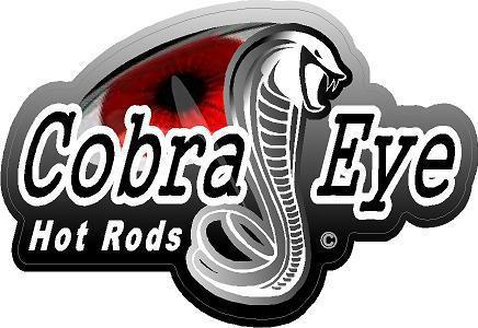 1 - 4" x 6" hot rod rat rod cobra eye decal sticker car truck speed parts 703