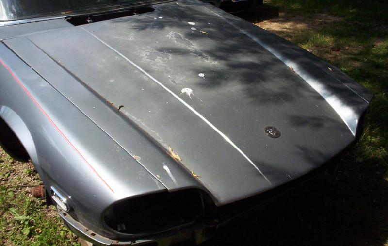 76-91 jaguar xjs hood removed from 1989 xjs