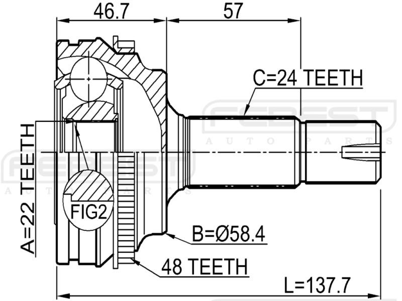 Outer cv joint - febest # 0110-ncp10a48