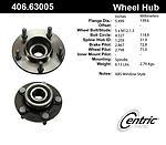 Centric parts 406.63005 rear hub assembly