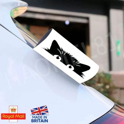 Tag your car- black tag - funny car stickers - peeking cat-decal