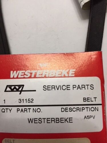 Genuine westerbeke part 31152, belt