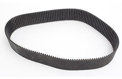 Primary belt rivera primo  2024-0004