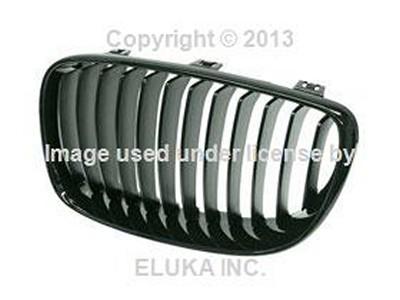 Bmw genuine high gloss black frame and grille bmw performance front left