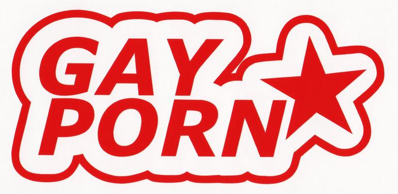 "gay porn star" prank joke funny gag gift vinyl decal car window bumper sticker