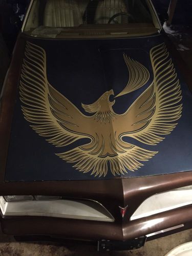 1980-1981 pontiac trans am turbo hood