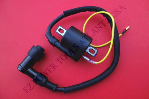 Ignition coil module assembly for polaris 4011669