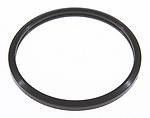 Victor c31700 thermostat seal