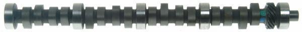 Sealed power performance camshaft cs196r