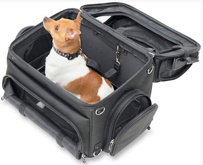 Saddlemen pc3200c convertible motorcycle pet voyager carrier