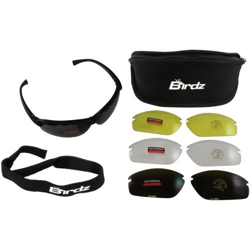 Birdz interchangeable motorcycle biker glasses smoke clear amber yellow lenses