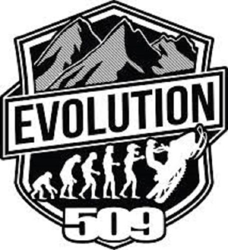 509 snowmobile evolution large sticker decal -  approx. 18 inches - new!