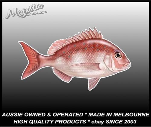 Pinky snapper - 175mm x 100mm  - boat decal / sticker / tackle box / esky