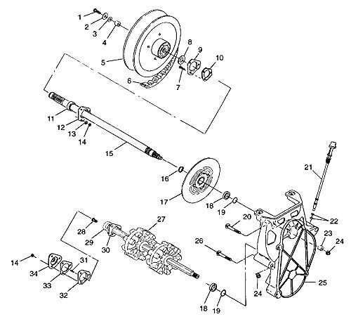 Polaris snowmobile performance drive belt, for specific transport, sport