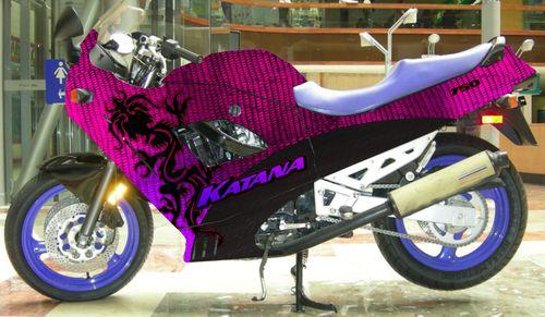 Bike skinz pink dragon