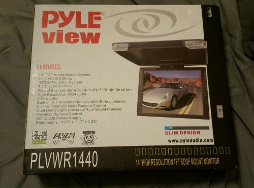 Plye view roof monitor