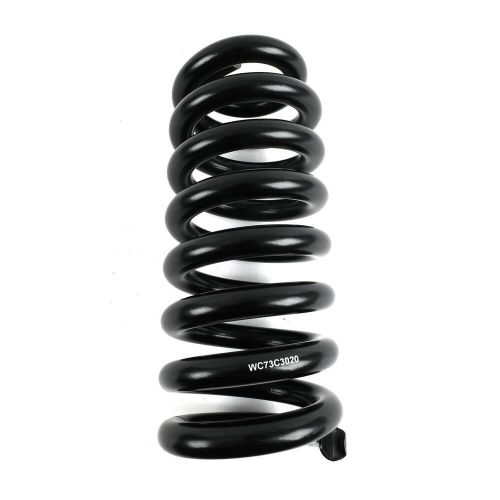 Western chassis lowering coil springs 733020