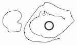 Victor jv5033 timing cover gasket set