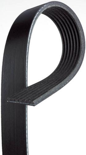 Gates k071031 serpentine belt/fan belt-micro-v at premium oe v-ribbed belt