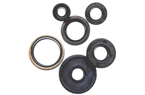 Kawasaki kvf750 brute force 2005 thru 2012   oil seal set