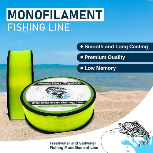 Reaction tackle monofilament fishing line- strong 17lb (1000 yards), clear